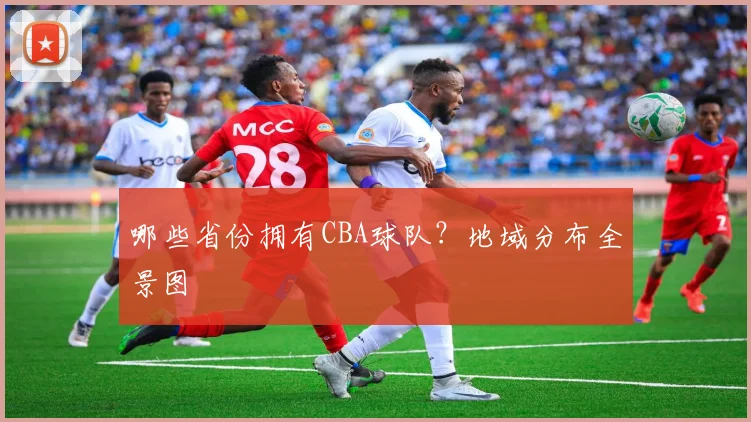 哪些省份拥有CBA球队？地域分布全景图