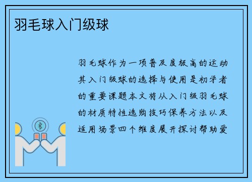 羽毛球入门级球