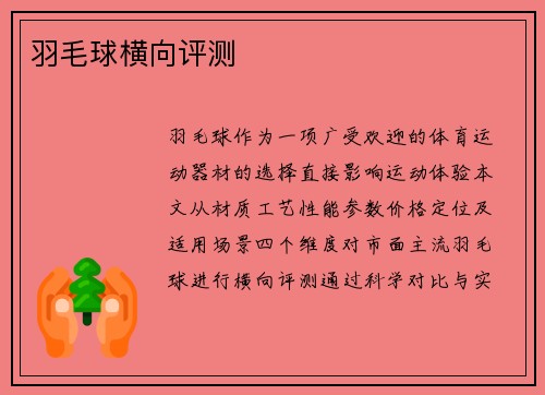 羽毛球横向评测