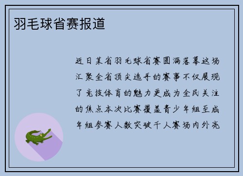 羽毛球省赛报道